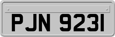PJN9231