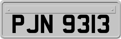 PJN9313