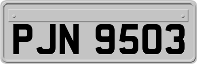PJN9503