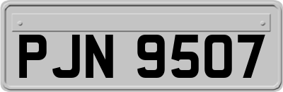 PJN9507