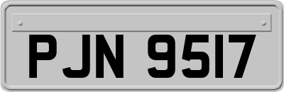 PJN9517