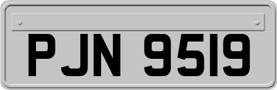 PJN9519