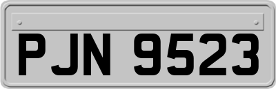 PJN9523