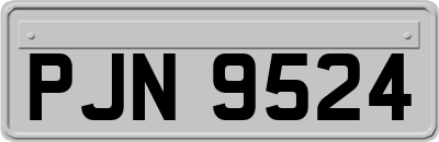 PJN9524