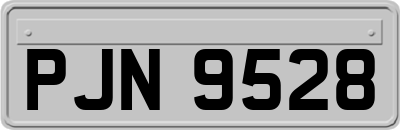 PJN9528