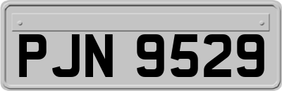 PJN9529