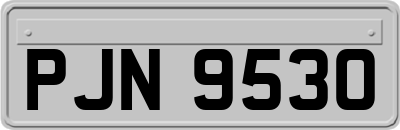 PJN9530