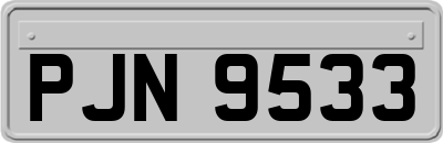 PJN9533