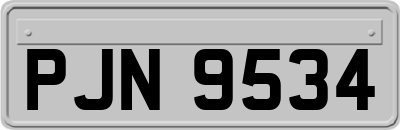 PJN9534