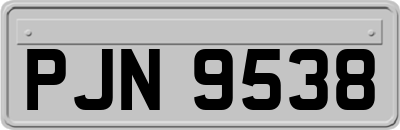 PJN9538