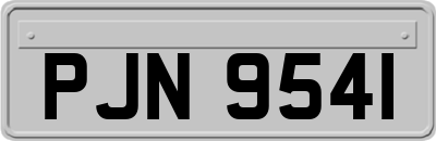 PJN9541