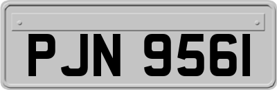 PJN9561