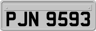 PJN9593