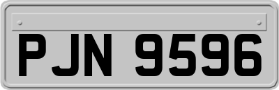PJN9596