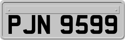 PJN9599