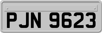 PJN9623