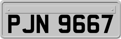 PJN9667