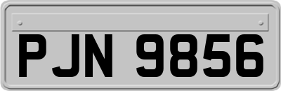 PJN9856