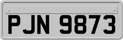 PJN9873