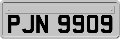 PJN9909