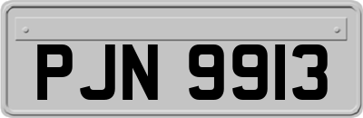 PJN9913
