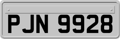 PJN9928