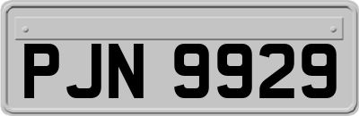 PJN9929