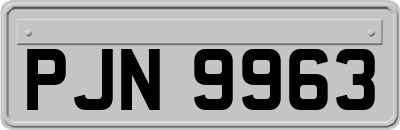 PJN9963