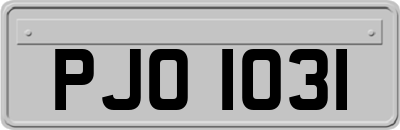 PJO1031