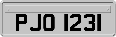 PJO1231