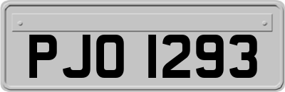 PJO1293