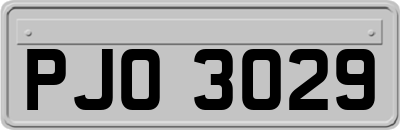 PJO3029