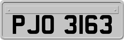 PJO3163