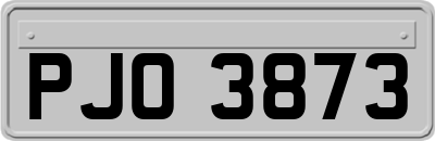 PJO3873