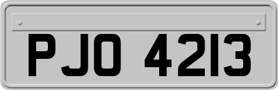 PJO4213