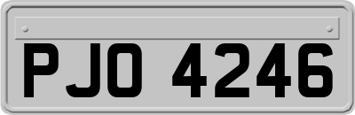 PJO4246