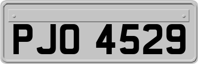 PJO4529