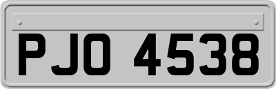 PJO4538