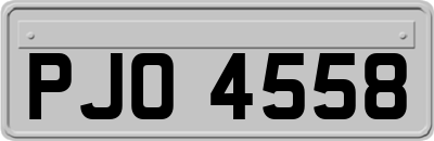 PJO4558
