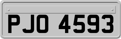 PJO4593