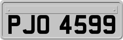 PJO4599