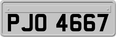 PJO4667