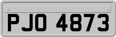 PJO4873