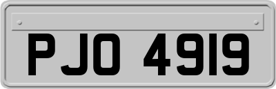 PJO4919