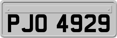 PJO4929