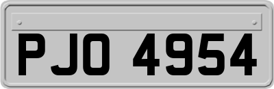 PJO4954