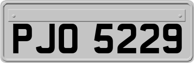 PJO5229