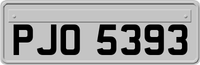PJO5393