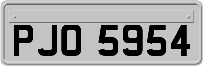 PJO5954