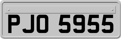 PJO5955